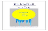 Sponsorship Project (Pickleball On Ice)
