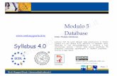 Ecdl Modulo5 Database