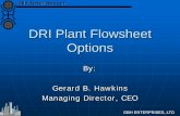 (DRI) Direct Reduction Iron Plant Flowsheet Options