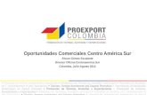 Oportunidades Comerciales en Centroamérica Sur