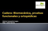 Biomecanica cadera, pruebas funcionales y ortopedicas