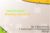 поэтический альбом "Weather"