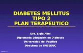 Plan de manejo personas con Diabetes Tipo 2