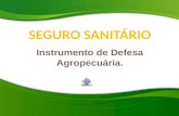 V WSF, Juazeiro - Ricardo Sassi - Seguro Sanitário