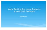 Agile testing for large projects
