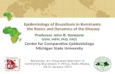 Epidemiology of brucellosis in ruminants: the basics and dynamics of the disease