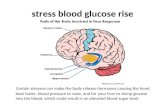 Stress Blood Glucose Rise