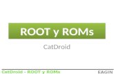 Root y Roms - CatDroid