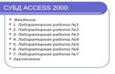 Access 2000 1