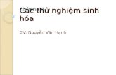 Kiem Nghiem Vi Sinh Vat (part1)