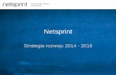 Netsprint strategia 2014-2016