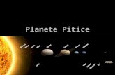 Planetele pitice- Gopleac Sergiu