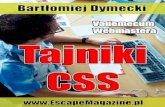 Optymalizacja stylow CSS kurs Tajniki css