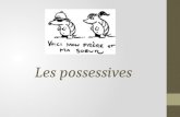 Posessive Adjectives in French