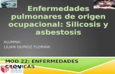 Silicosis y asbestosis