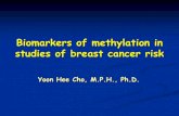 biomarkers of methylation