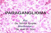 PARAGANGLIOMAS- A complete review with recent updates.