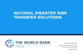 Natural Disaster Risk Transfer Solutions