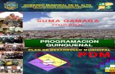 3 Programación Quinquenal PDM El Alto 2007 2011