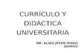Curriculo y didactica universitaria  diapositivas- b lanco y negro