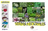Yerbas medicinales (pp tminimizer)