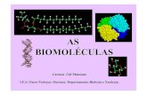 03 biomoleculas