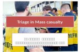 Triage In  Mass Casualty M I M S