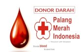 Donor darah (jefkenzie)
