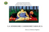 La Sindrome Cardiometabolica - di Stefania Pugliese