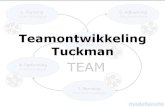 Model teamontwikkeling tuckman_powerpointpresentatie