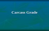 Carcass Grade