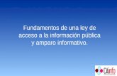 Principios Ley Acceso Informacion Publica