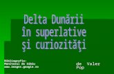 Delta dunarii, superlative si curiozitati