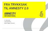 Amnesty 2.0 InnsamlingsråDet
