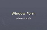 Window Form