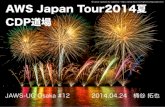 20140829 AWS Japan Tour 2014 夏 CDP道場 - jaws-ug Osaka#12