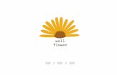 Wall flower