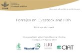 Forrajes en Livestock and Fish (ESP)
