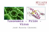 Taxonomia - Prion - Virus