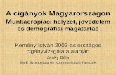 A cigányok MagyarországonMunkaerőpiaci helyzet, jövedelem és demográfiai magatartás