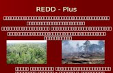 Redd   Plus เชียงใหม่ 5 มี ค 2553