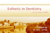Esthetic in Dentistry