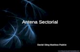 Antena Sectorial