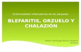 Blefaritis, Orzuelo y Chalazión
