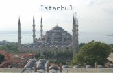 Istanbul and Turquoise Coast