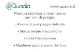 Quadia®: Pompa enologica a membrane per vini di pregio