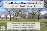 Tree biology, benefits, and the urban