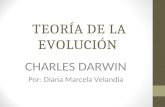 Teoria darwin