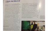 Reportaje Mexico Desconocido Rutas Gastronomicas