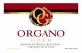 Productos OrGano Gold - Dic2011